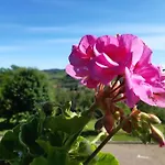 דירה Confinedeisanti *