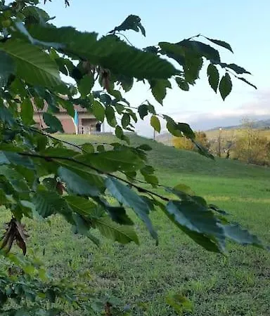 Confinedeisanti * Moriondo Torinese