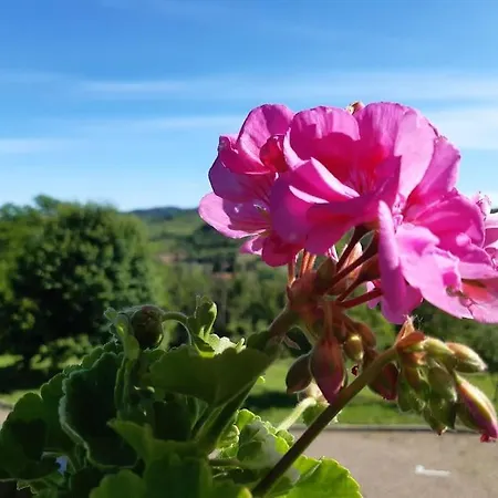 شقة Confinedeisanti *