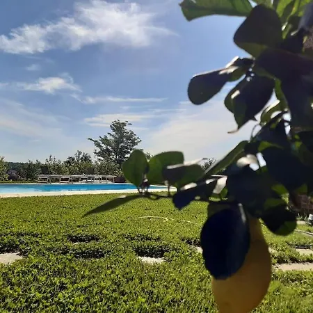 Confinedeisanti Moriondo Torinese