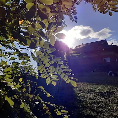 Confinedeisanti Appartement Moriondo Torinese
